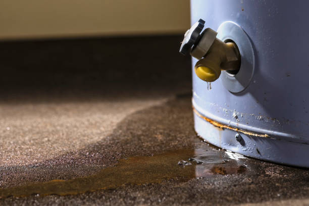 Best Professional water damage repair  in Golden Gate, FL