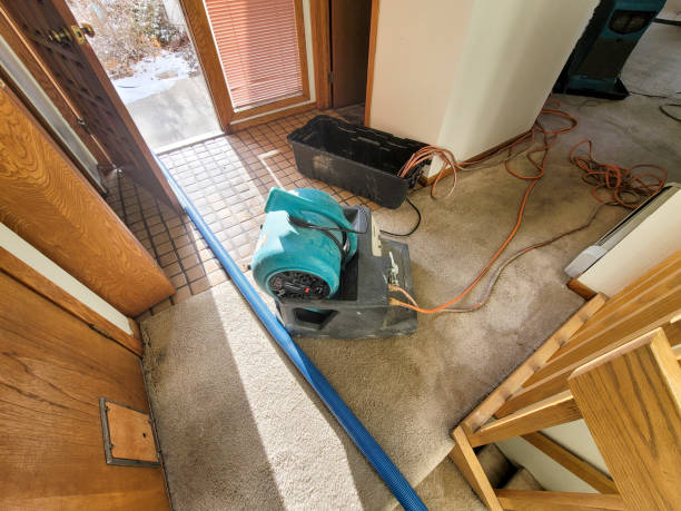 Best Residential water damage restoration  in Golden Gate, FL