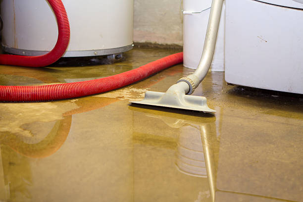 Best Ceiling water damage repair  in Golden Gate, FL