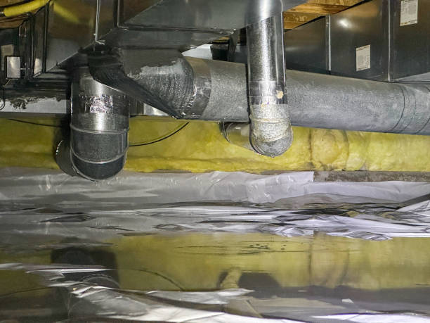 Best Fire Damage Restoration  in Golden Gate, FL