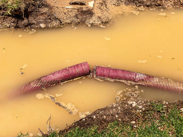 Best Local water damage restoration  in Golden Gate, FL
