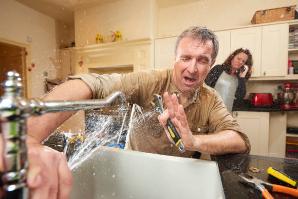 Best Flood damage cleanup  in Golden Gate, FL